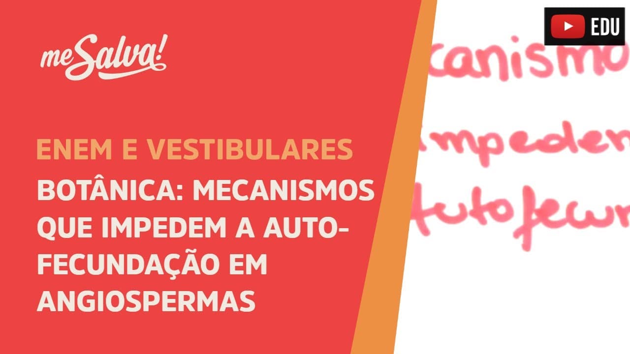 Thumbnail: Me Salva! BOT14 - Botânica - Mecanismos que impedem a autofecundação em Angiospermas