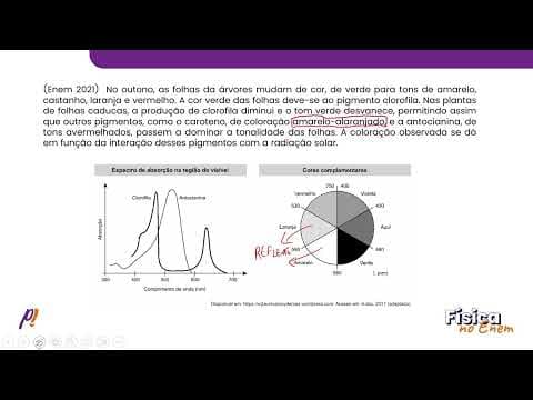 Thumbnail da aula: ENEM 2021 - ÓPTICA GEOMÉTRICA | No outono, as folhas das árvores mudam de cor, de verde para...