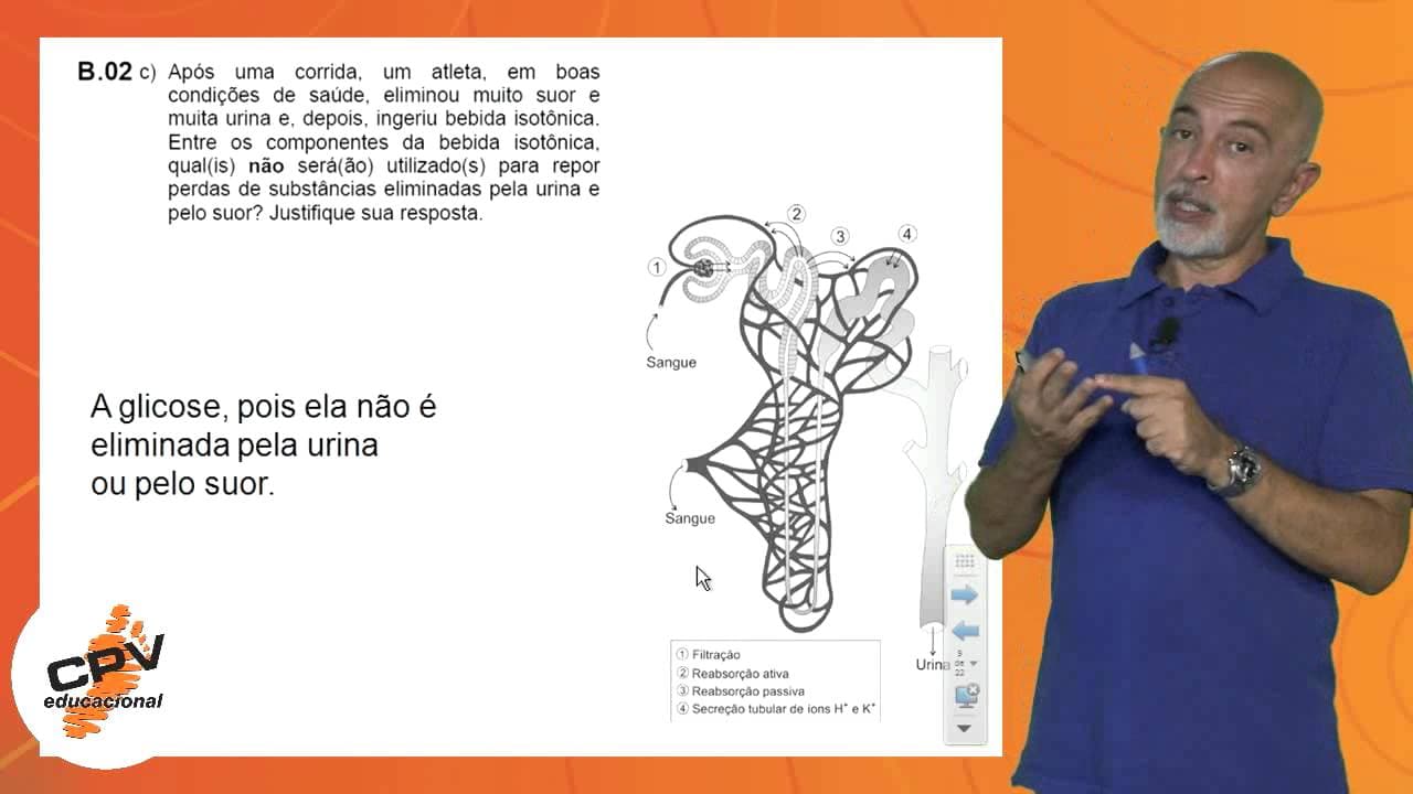 Thumbnail: Biologia - Fuvest 2013 - 2ª fase - 3º Dia