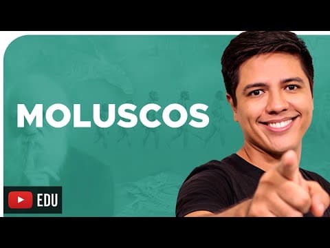 Thumbnail da aula: MOLUSCOS  - ZOOLOGIA - Reino Animalia - Prof. Kennedy Ramos