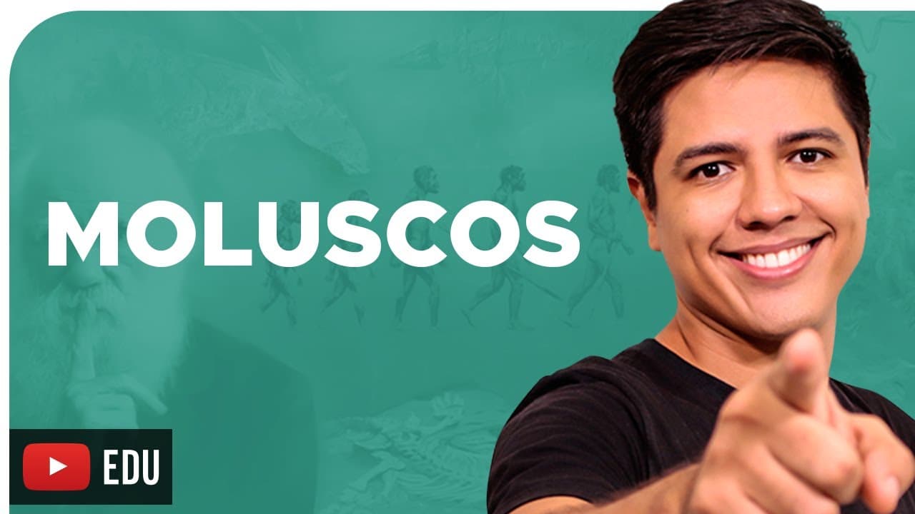 Thumbnail: MOLUSCOS - ZOOLOGIA - Reino Animalia - Prof. Kennedy Ramos