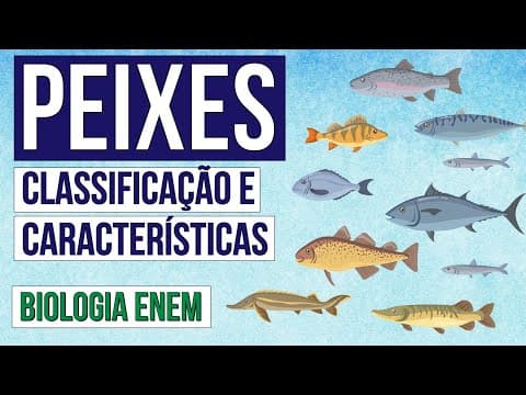 Thumbnail da aula: PEIXES: classificação e características | Biologia para o Enem | Cláudia de Souza Aguiar