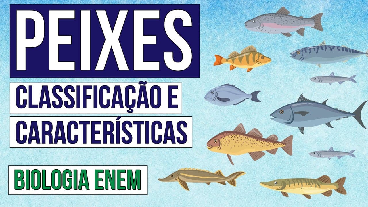 Thumbnail: PEIXES: classificação e características | Biologia para o Enem | Cláudia de Souza Aguiar