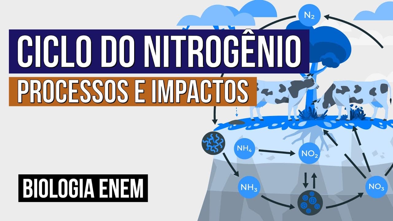 Thumbnail: CICLO DO NITROGÊNIO: processos e impactos | Biologia para o Enem | Cláudia de Souza Aguiar