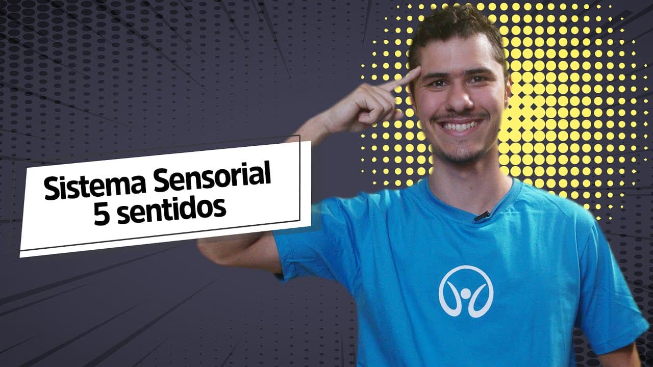 Thumbnail: Sistema Sensorial: Cinco Sentidos - Brasil Escola