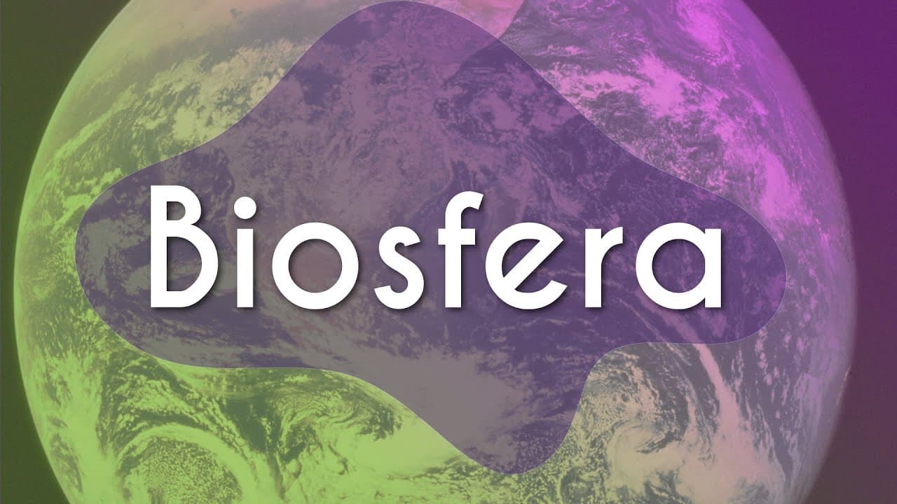 Thumbnail: Biosfera - Brasil Escola