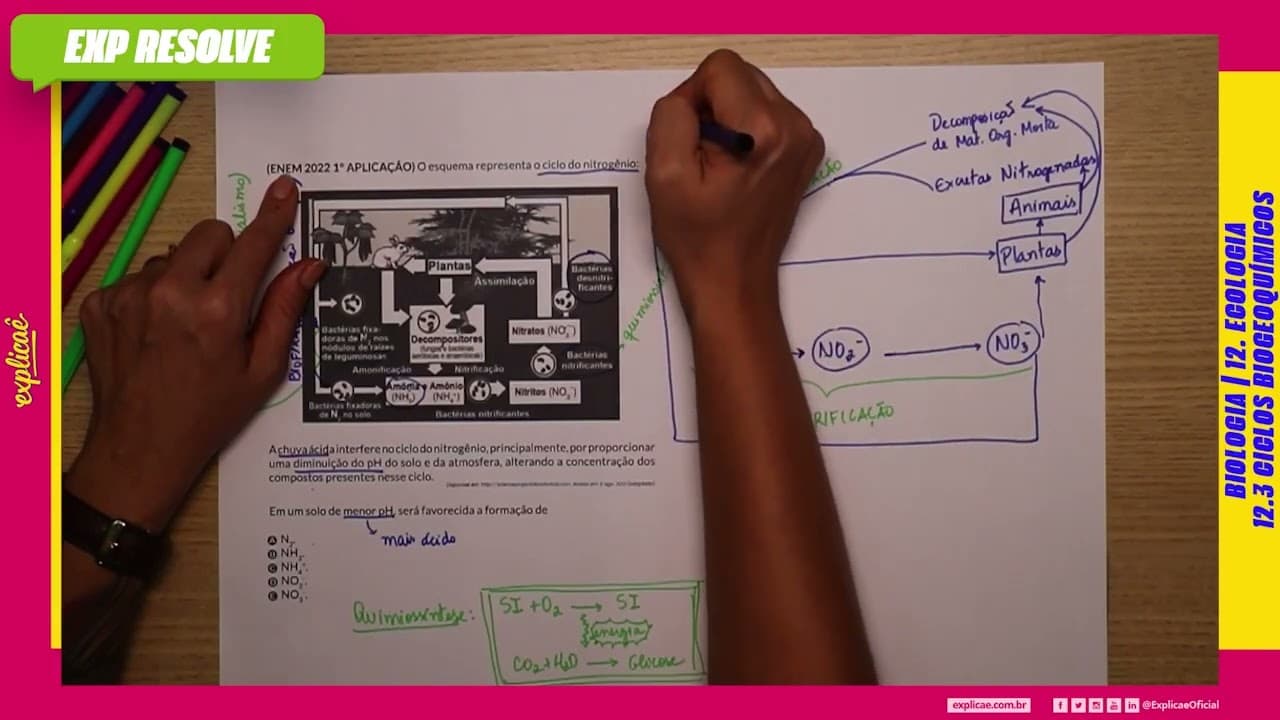 Thumbnail: A CHUVA ÁCIDA INTERFERE NO CICLO DO NITROGÊNIO, PRINCIPALMENTE, POR  (...) | CICLOS BIOGEOQUIMICOS