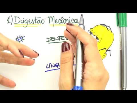 Thumbnail da aula: Me Salva! Extensivo de Biologia - FHA04 - Sistema Digestório III - Fisiologia Humana: Fase Cefálica