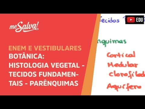 Thumbnail da aula: Me Salva! BOT17 - Botânica - Histologia vegetal: tecidos fundamentais - parênquimas