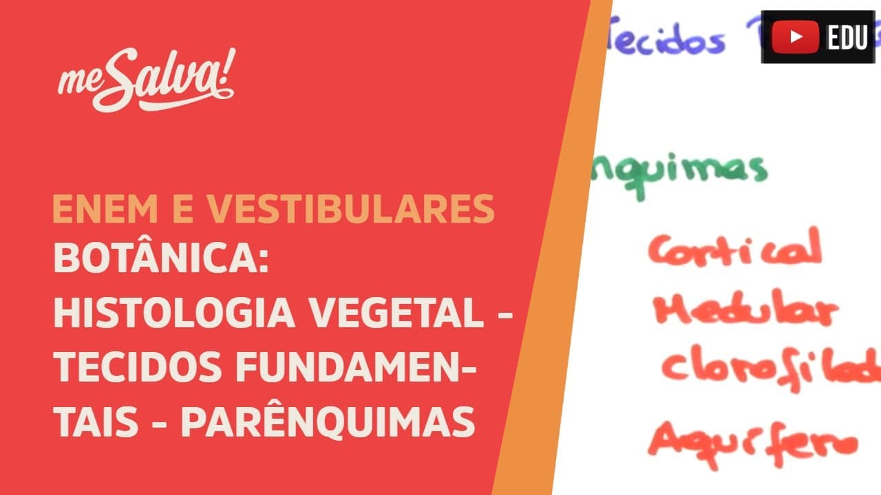 Thumbnail: Me Salva! BOT17 - Botânica - Histologia vegetal: tecidos fundamentais - parênquimas