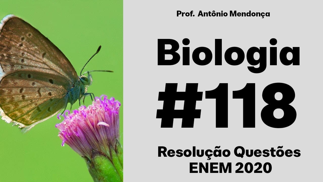Thumbnail: ENEM 2020 - Aranhas, escorpiões, carrapatos e ácaros são representantes da classe dos Aracnídeos.