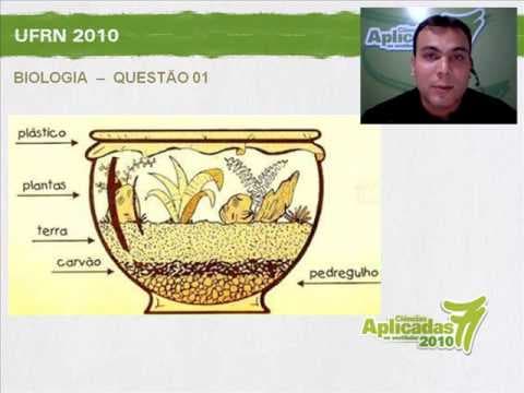 Thumbnail da aula: UFRN 2010 - BIOLOGIA - QUESTÃO 01