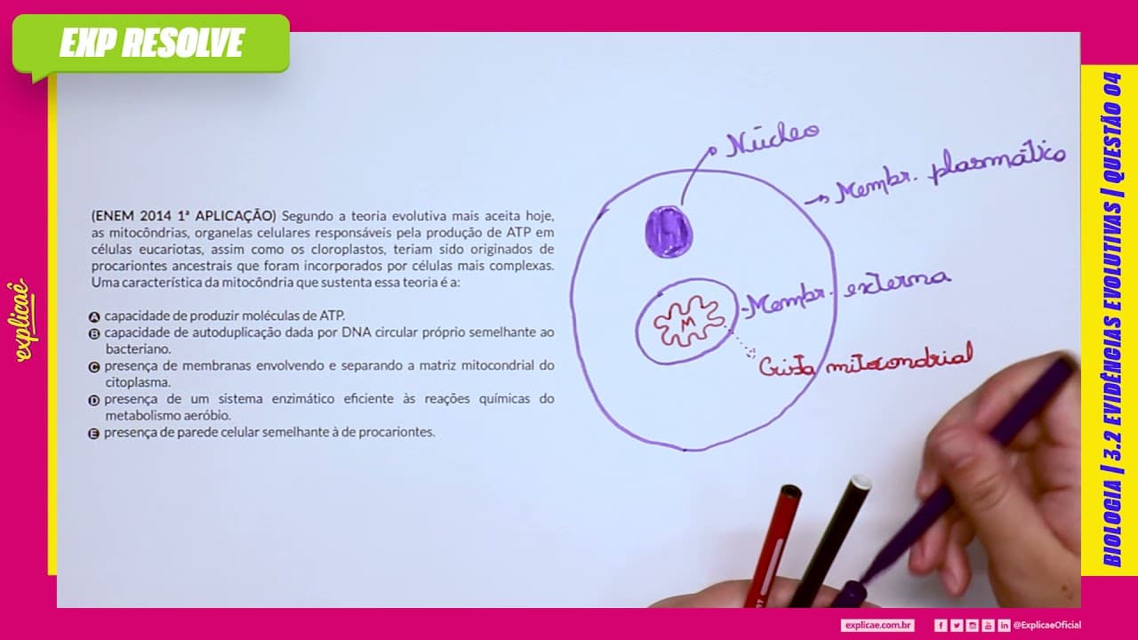 Thumbnail: SEGUNDO A TEORIA EVOLUTIVA MAIS ACEITA HOJE, AS MITOCÔNDRIAS, ORGANELAS (...)  EVIDÊNCIAS EVOLUTIVAS