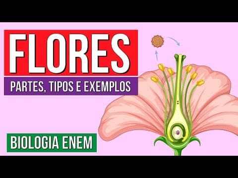 Thumbnail da aula: FLORES DAS ANGIOSPERMAS: Partes, tipos e exemplos | Resumo de Biologia Enem. Profe Claudia Aguiar