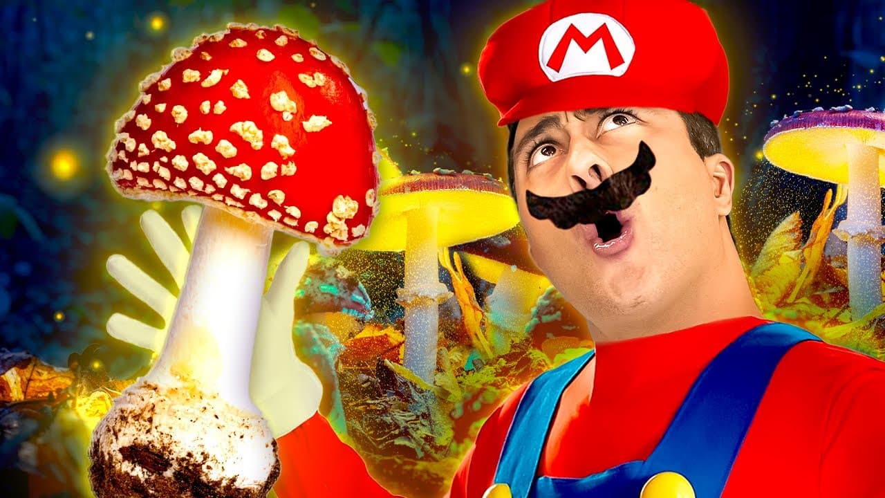 Thumbnail: O que são FUNGOS? Desvendando o REINO FUNGI