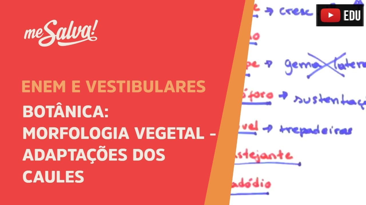 Thumbnail: Me Salva! BOT40 - Botânica - Morfologia vegetal: adaptações dos caules
