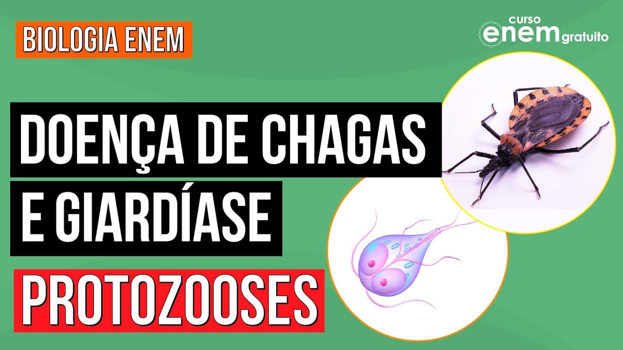 Thumbnail: Protozooses: Giardíase e Doença de Chagas | Resumo de Biologia para o Enem | Cláudia de Souza Aguiar