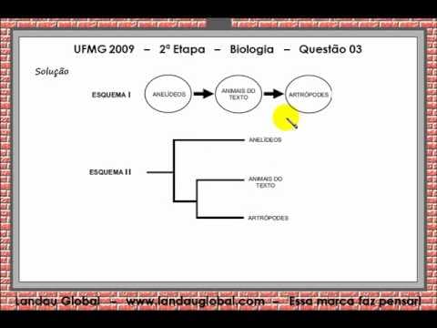 Thumbnail da aula: UFMG_2009_BIO_P2_Q03