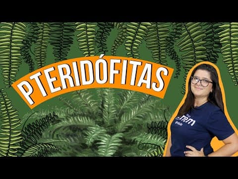 Thumbnail da aula: PTERIDÓFITAS: tipos, características e reprodução | RESUMO DE BIOLOGIA PARA O ENEM