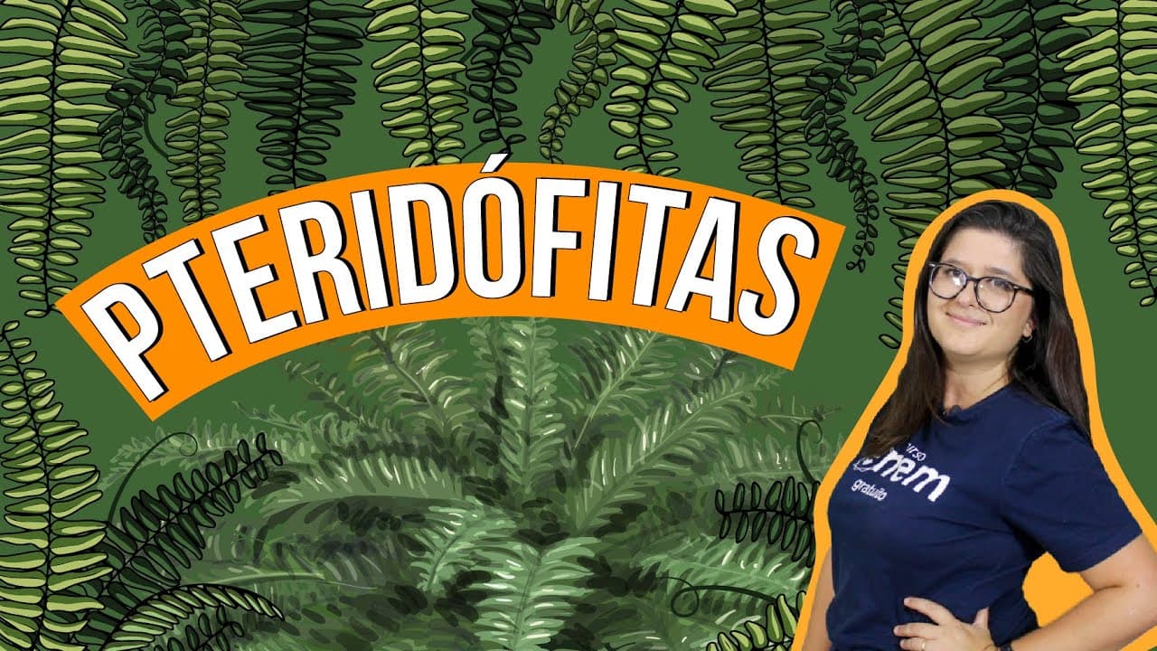 Thumbnail: PTERIDÓFITAS: tipos, características e reprodução | RESUMO DE BIOLOGIA PARA O ENEM