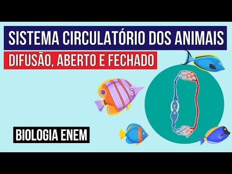 Thumbnail da aula: SISTEMA CIRCULATÓRIO DOS ANIMAIS: difusão, aberto e fechado | Biologia para o Enem | Cláudia Aguiar