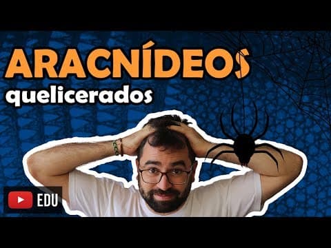 Thumbnail da aula: Aracnídeos - Quelicerados (Artrópodes: Parte 3) - Aula 22 - Módulo VI: Zoologia | Prof. Guilherme