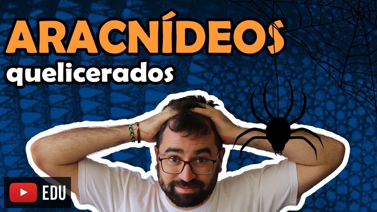 Thumbnail: Aracnídeos - Quelicerados (Artrópodes: Parte 3) - Aula 22 - Módulo VI: Zoologia | Prof. Guilherme