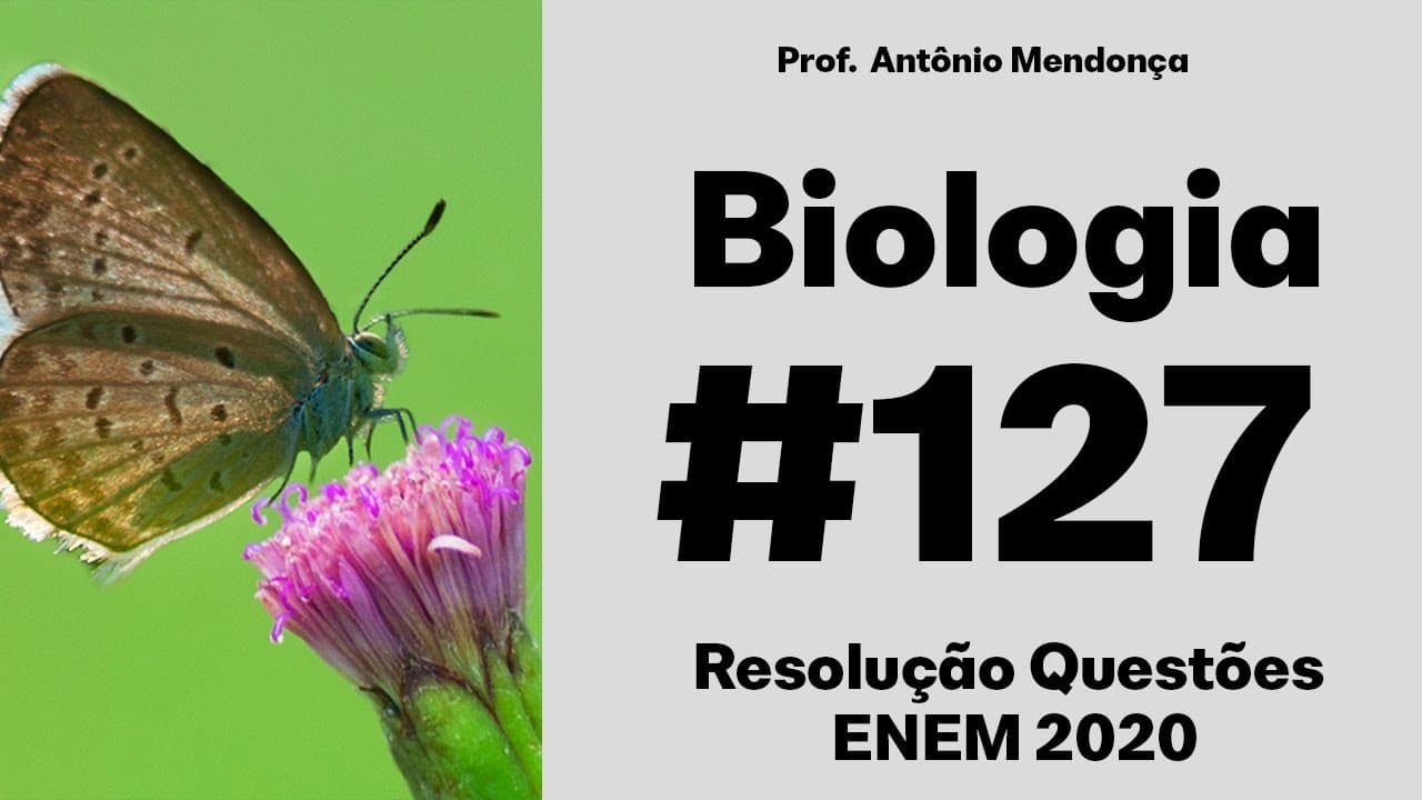 Thumbnail: ENEM 2020 - Plantas pioneiras são as que iniciam o processo natural de cicatrização de uma área