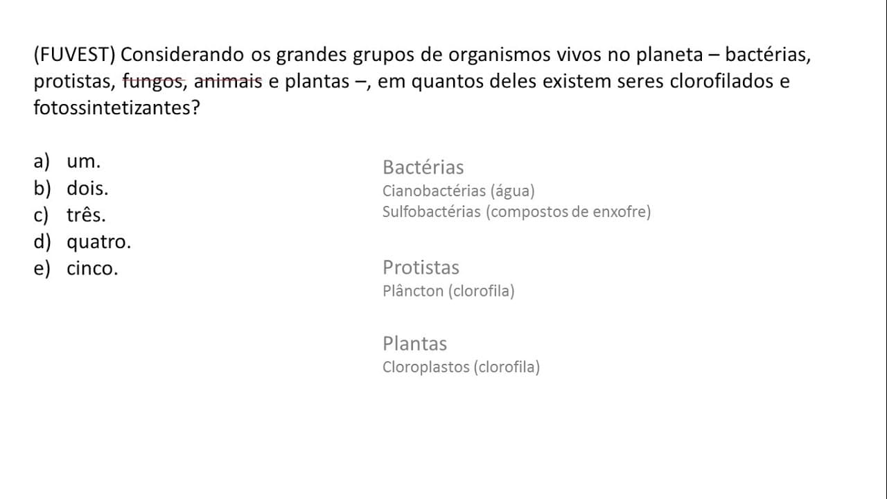 Thumbnail: BIOLOGIA | FUVEST Exercício Resolvido #004