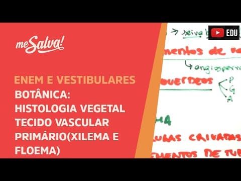 Thumbnail da aula: Me Salva! BOT19 - Botânica - Histologia vegetal: tecido vascular primário (xilema e floema)