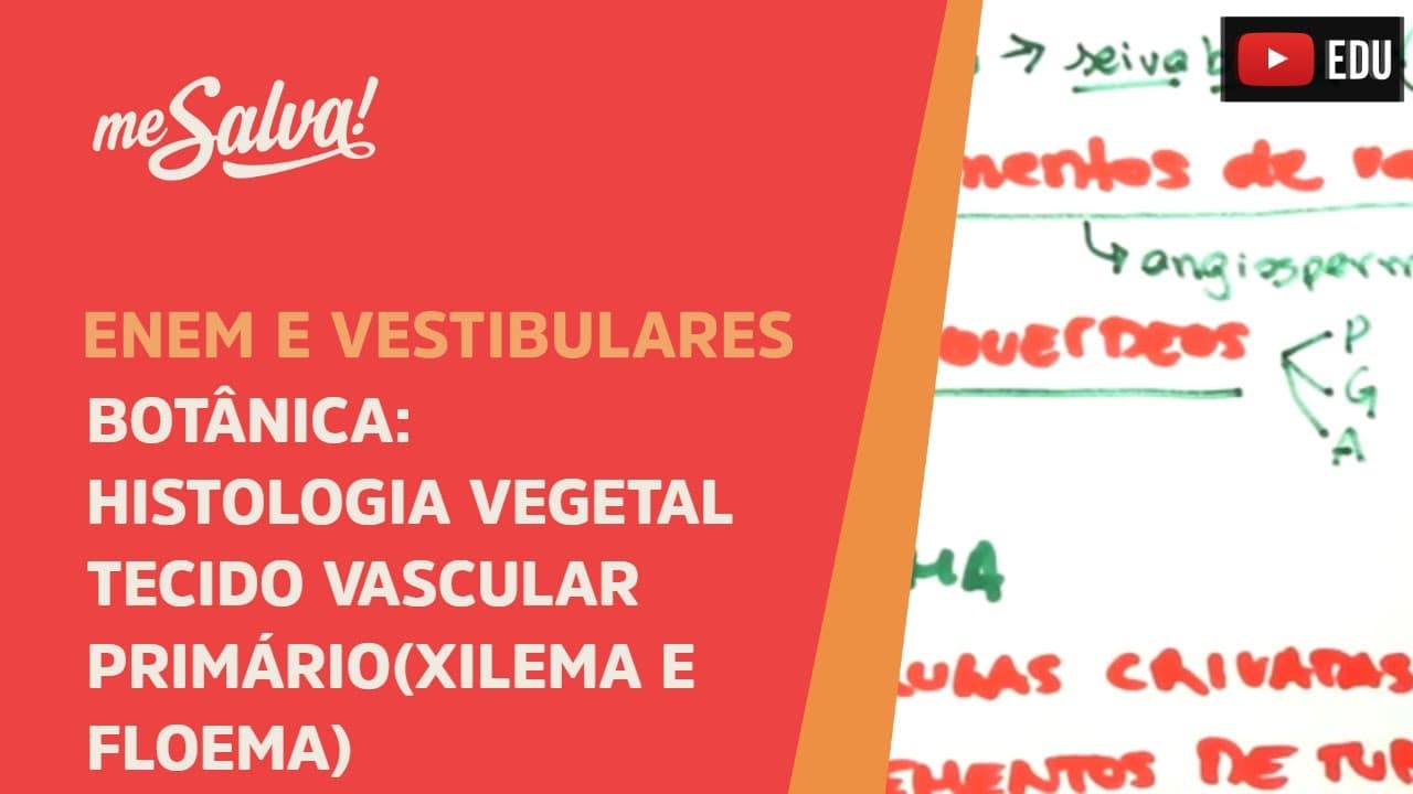 Thumbnail: Me Salva! BOT19 - Botânica - Histologia vegetal: tecido vascular primário (xilema e floema)