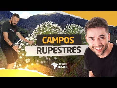 Thumbnail da aula: O Campo Rupestre