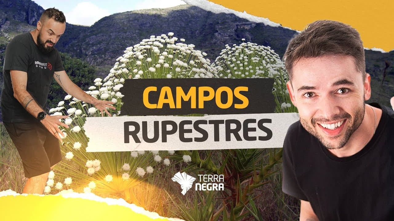 Thumbnail: O Campo Rupestre