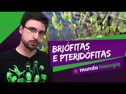 Thumbnail da aula: 🌿 Botânica (1/5): Briófitas e Pteridófitas - Biologia - ENEM