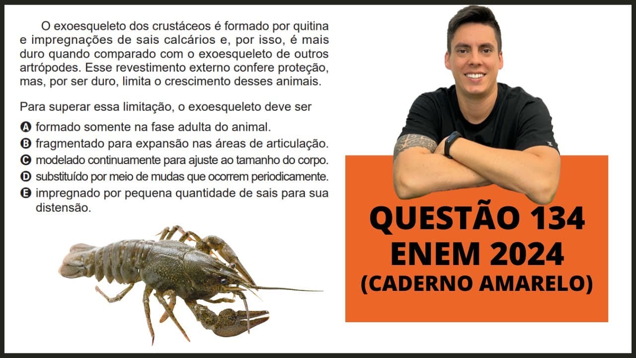 Thumbnail: BIOLOGIA ENEM 2024! "O exoesqueleto dos crustáceos é formado por quitina e impregnações..."