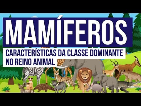 Thumbnail da aula: MAMÍFEROS: características da classe dominante no Reino Animal | Biologia para o Enem | Cláudia