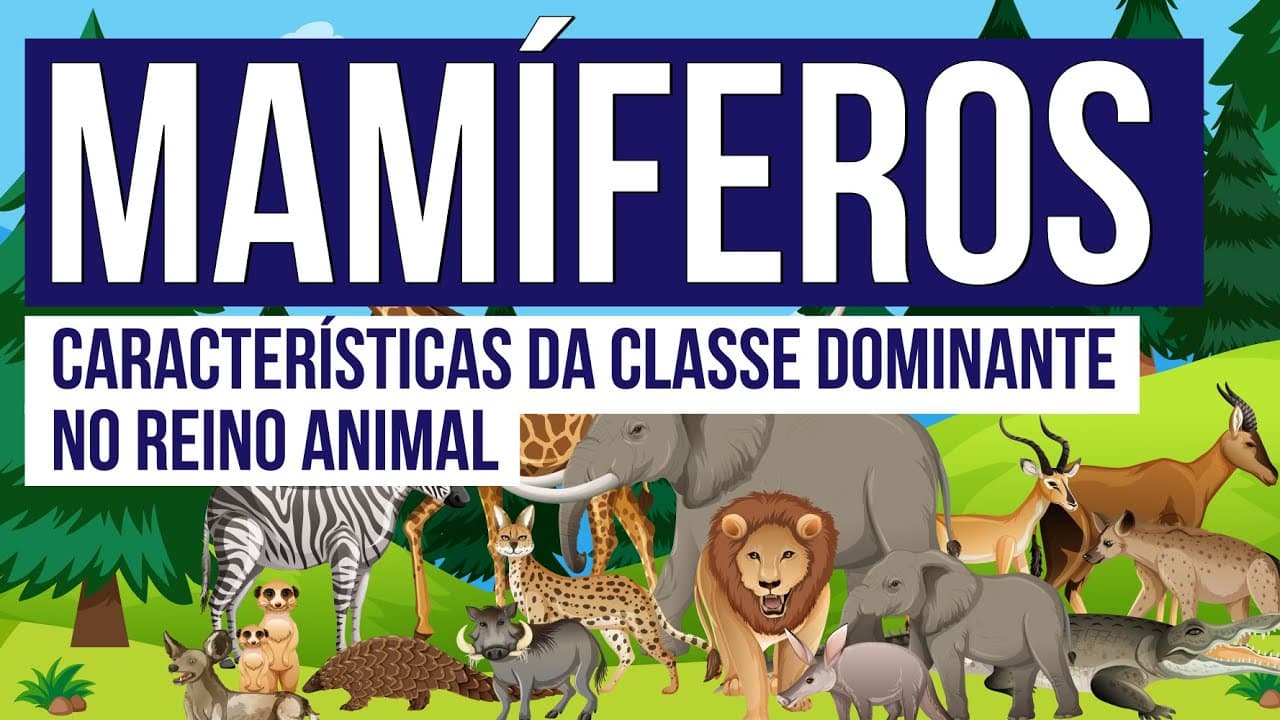 Thumbnail: MAMÍFEROS: características da classe dominante no Reino Animal | Biologia para o Enem | Cláudia