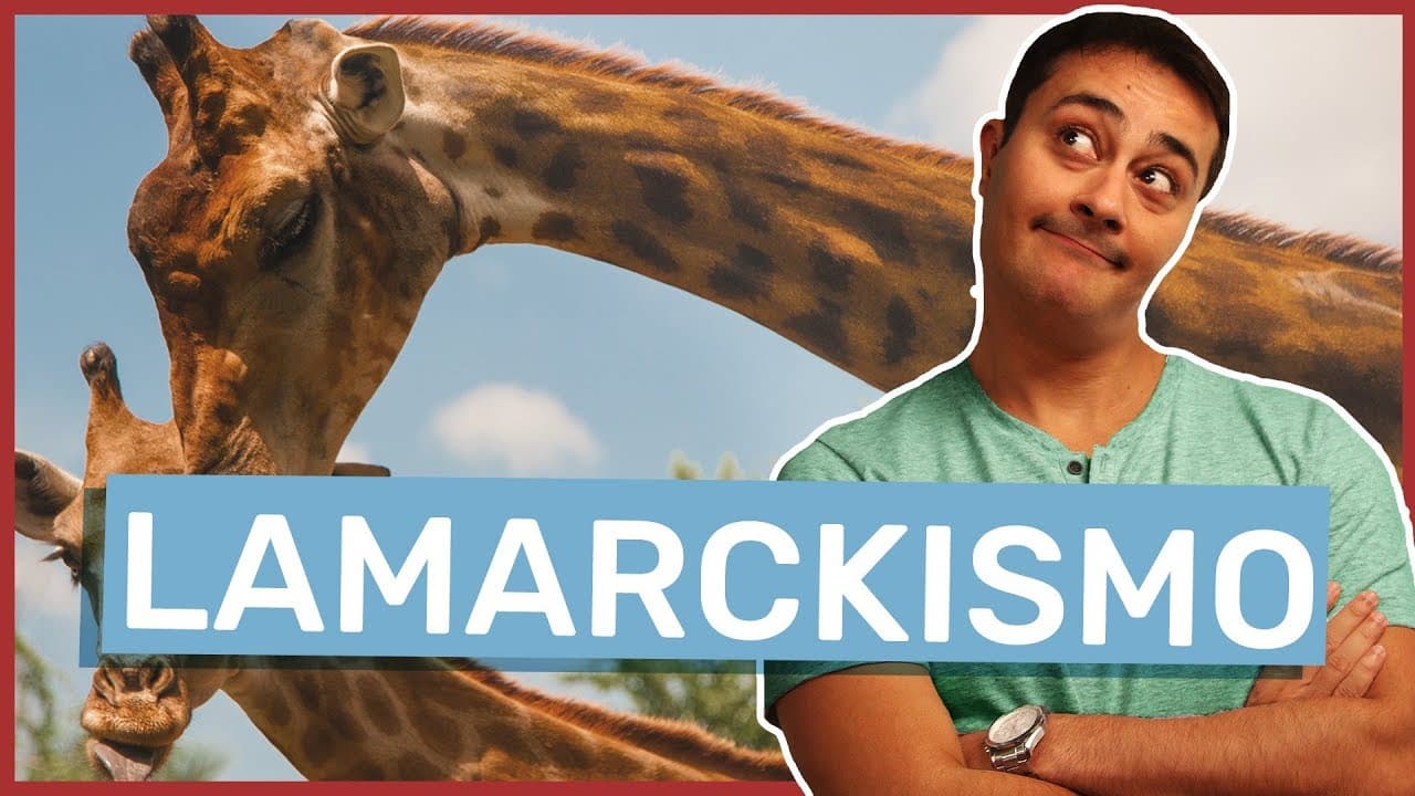 Thumbnail: Teoria de Lamarck | Lamarckismo |  Evolução | Prof. Paulo Jubilut