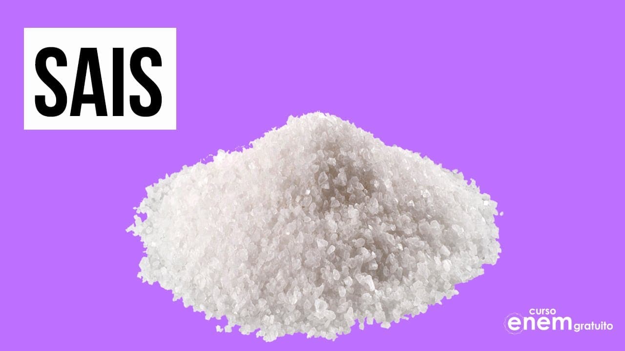 Thumbnail: O QUE SÃO SAIS? | Resumo de Química Enem. Profe Larissa Campos