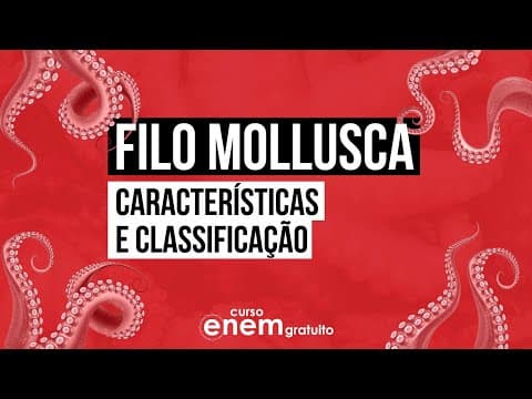 Thumbnail da aula: FILO MOLLUSCA: características e classificação | Biologia para o Enem | Cláudia de Souza Aguiar