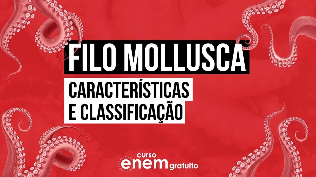 Thumbnail: FILO MOLLUSCA: características e classificação | Biologia para o Enem | Cláudia de Souza Aguiar
