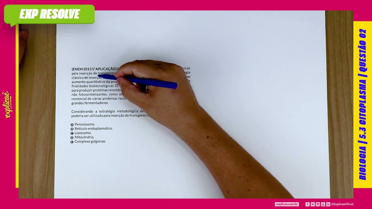 Thumbnail: A ESTRATÉGIA DE OBTENÇÃO DE PLANTAS TRANSGÊNICAS PELA INSERÇÃO DE TRANSGENES EM (...) | CITOPLASMA