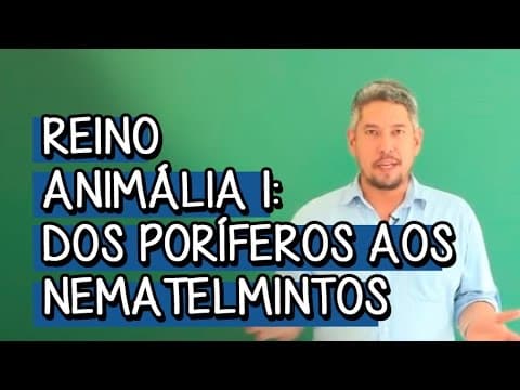 Thumbnail da aula: Reino Animália 1: dos Poríferos aos Nematelmintos - Extensivo Biologia | Descomplica