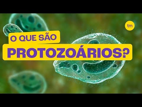 Thumbnail da aula: O que são PROTOZOÁRIOS?