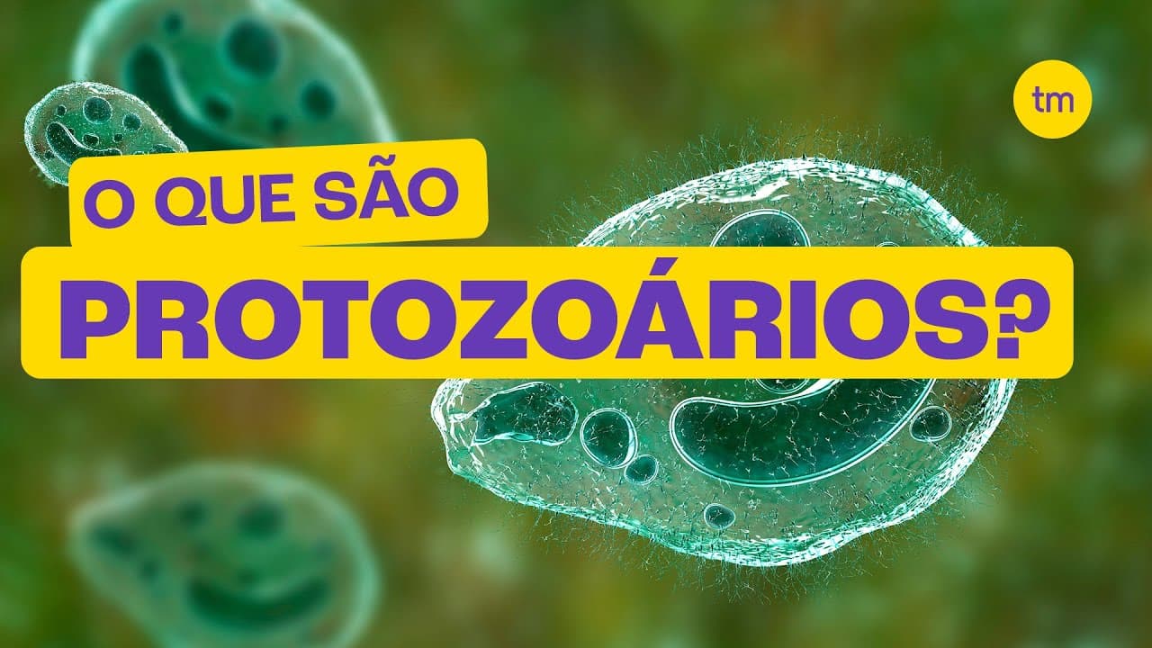 Thumbnail: O que são PROTOZOÁRIOS?