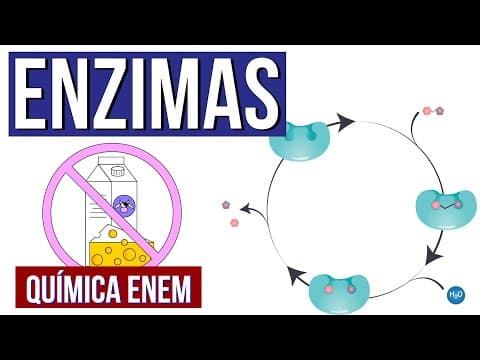 Thumbnail da aula: ENZIMAS: O que são, função, características e como funcionam | Aula de Química Enem. Larissa Campos