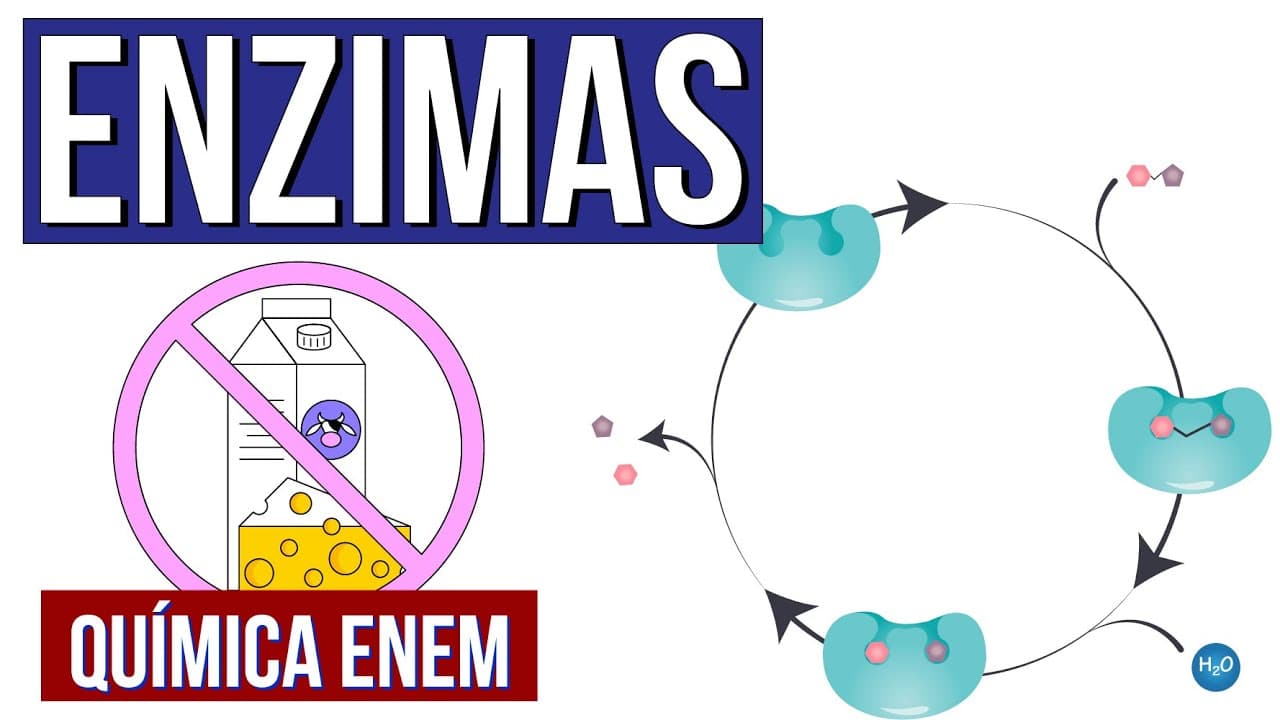 Thumbnail: ENZIMAS: O que são, função, características e como funcionam | Aula de Química Enem. Larissa Campos