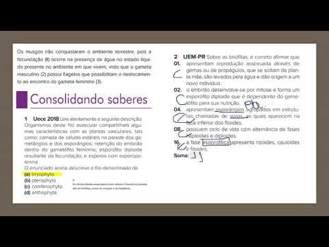 Thumbnail da aula: Aula nº14 – 08/05/20- Biologia - Professora Susanne, 2ª série – Briófitas (correção)