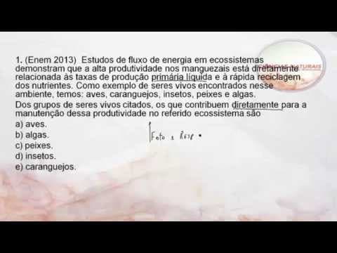Thumbnail da aula: Biologia: Ecologia - ENEM