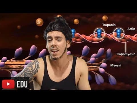 Thumbnail da aula: Contração Muscular - Paródia Professor Gustavo
